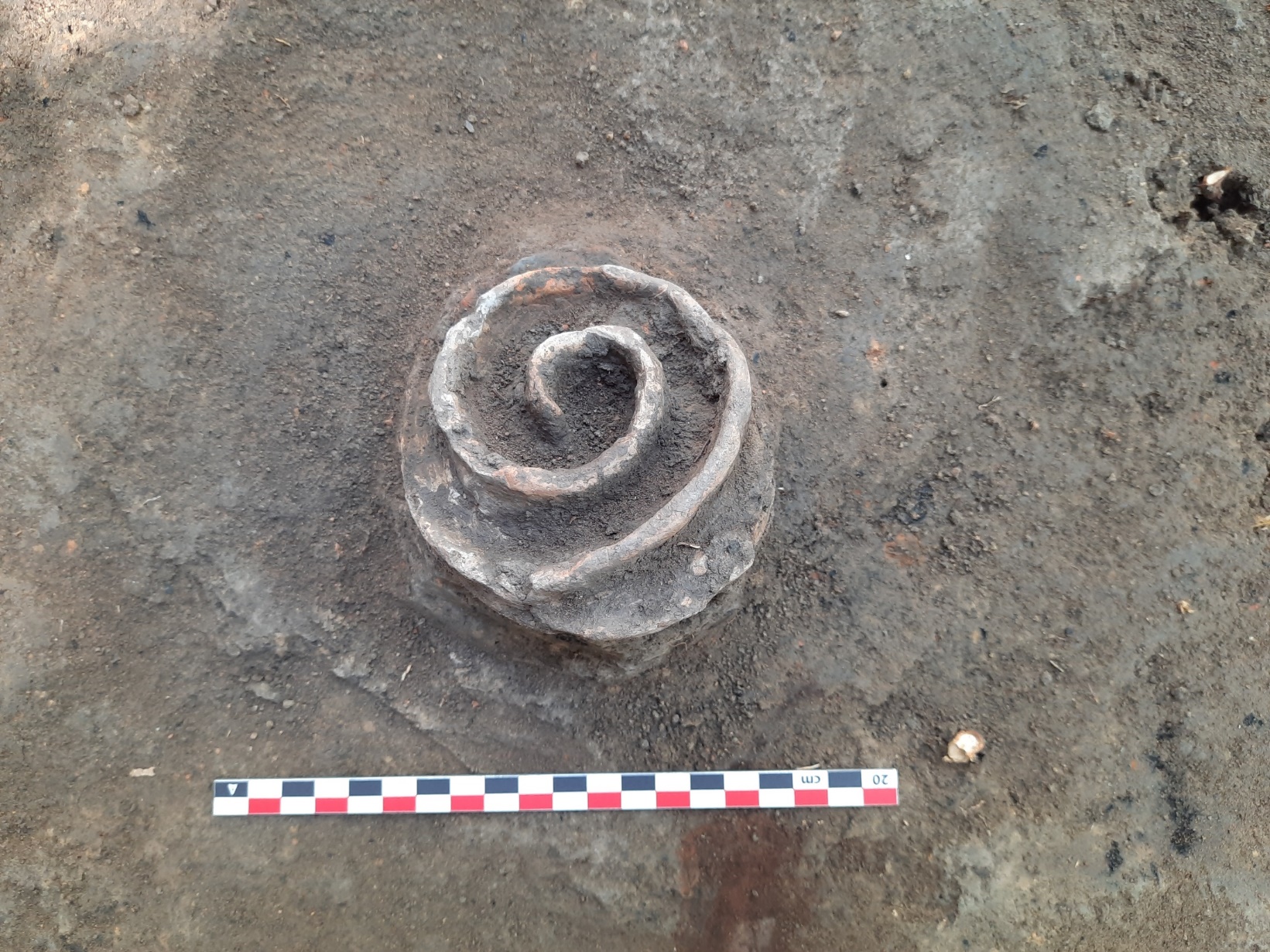 Situl arheologic de la Albești – Cetățuia (jud. Vaslui)